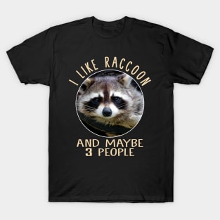 Enigmatic Elegance Raccoon Merchandise T-Shirt